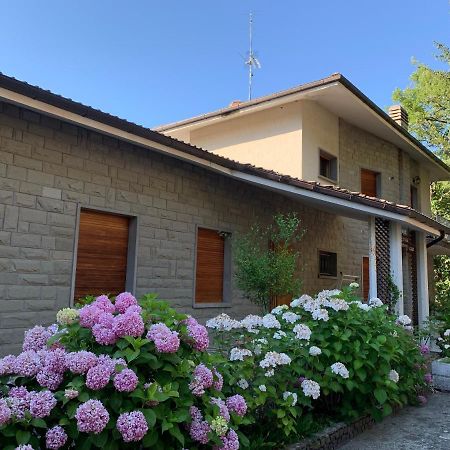 Peaceful Country Living At Apartments At Villa Clara Vimignano-Chiesa Exteriér fotografie