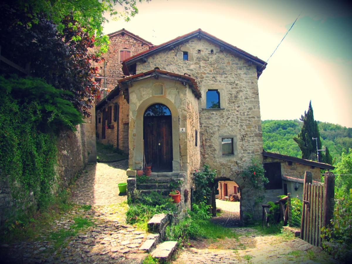 Peaceful Country Living At Apartments At Villa Clara Vimignano-Chiesa Exteriér fotografie